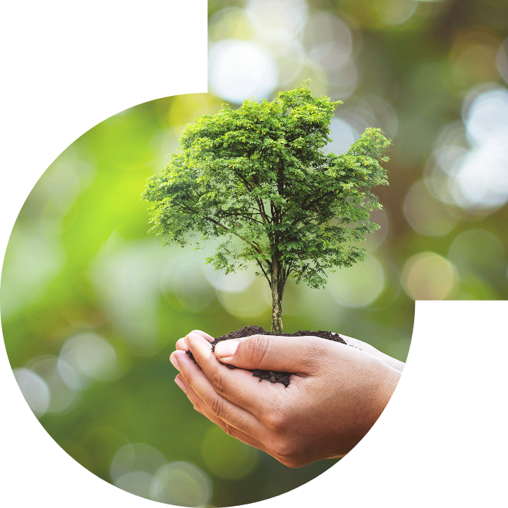 关怀人类、文化、环境与社会